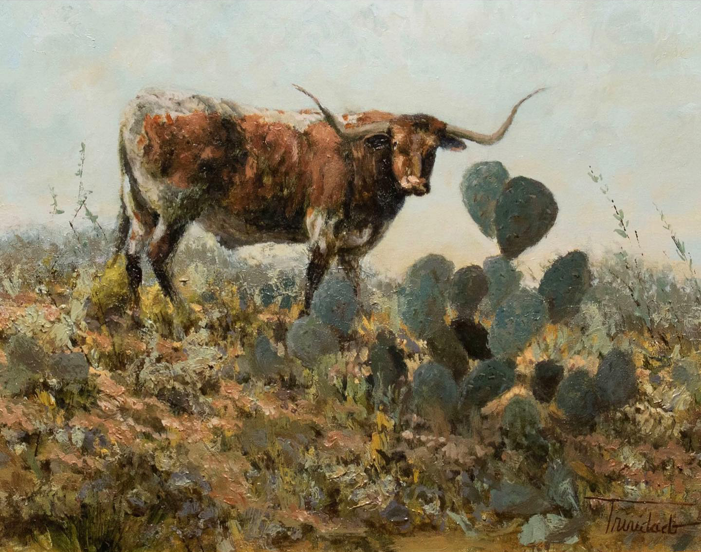 Texas Longhorn